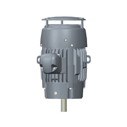 AC Motor, C15P1DCR, 15 HP, 3600 RPM, Three Phase, 208-230/460 & 190/380 V, 60 , 50 Hz, 254TC (C15P1DCR)