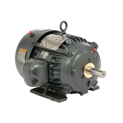 AC Motor, 8P20P1G, 20 HP, 3600 RPM, Three Phase, 575 V, 60 Hz, 256T (8P20P1G)