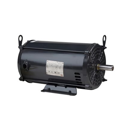 AC Motor, FD1CA1PZ, 1 HP, 3600 RPM, Single Phase, 115/230 V, 60 Hz, 56Z (FD1CA1PZ)