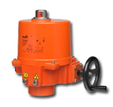 SY1-24P